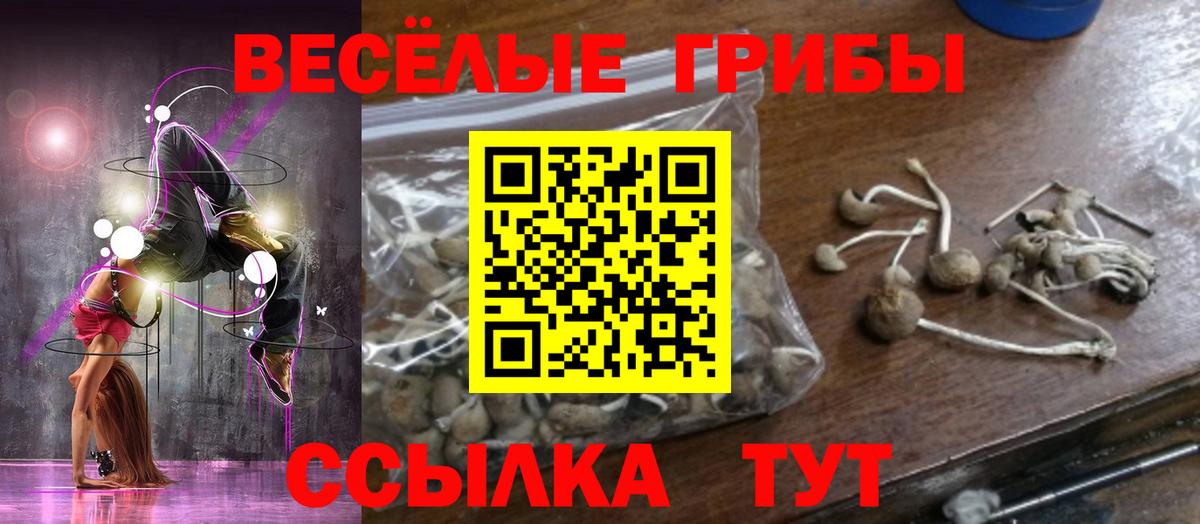 Балашиха  Псилоцибиновые грибы GOLDEN TEACHER  Галлюциногенные грибы мухоморы  Вход с VPN 